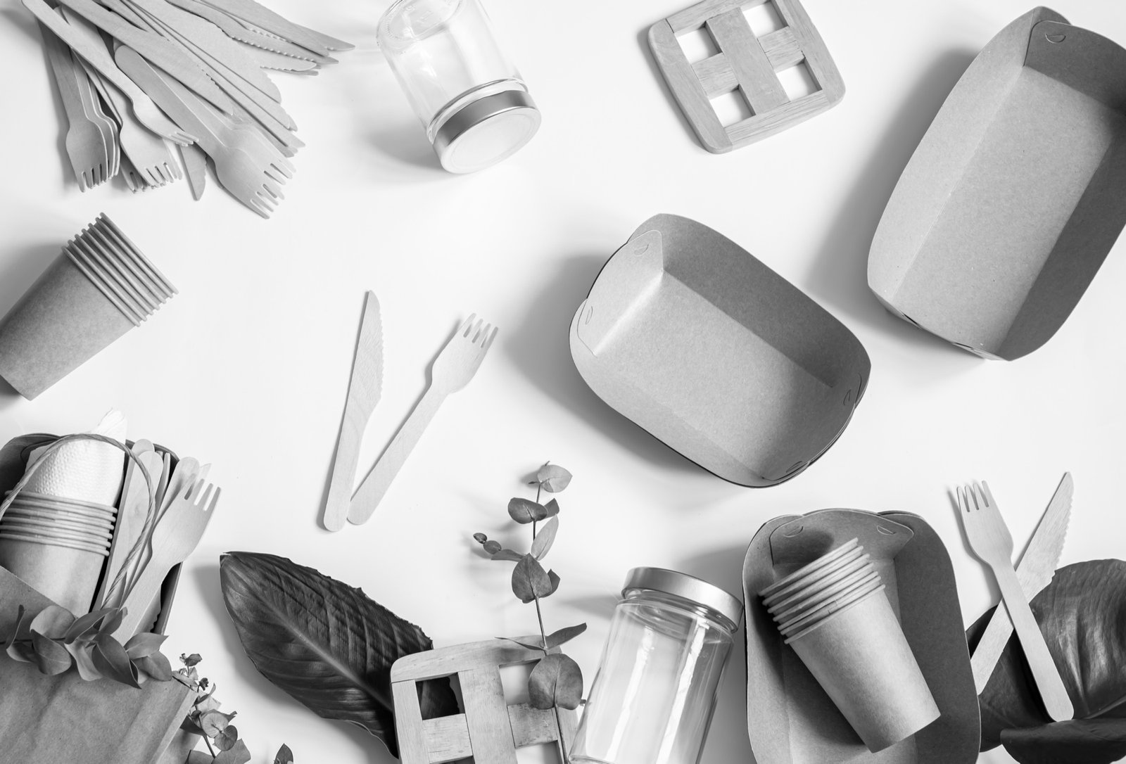 Elite Hive Partners Saudi: Leading the Way in Eco-Friendly Food Packaging Solutions in Dubai and Oman